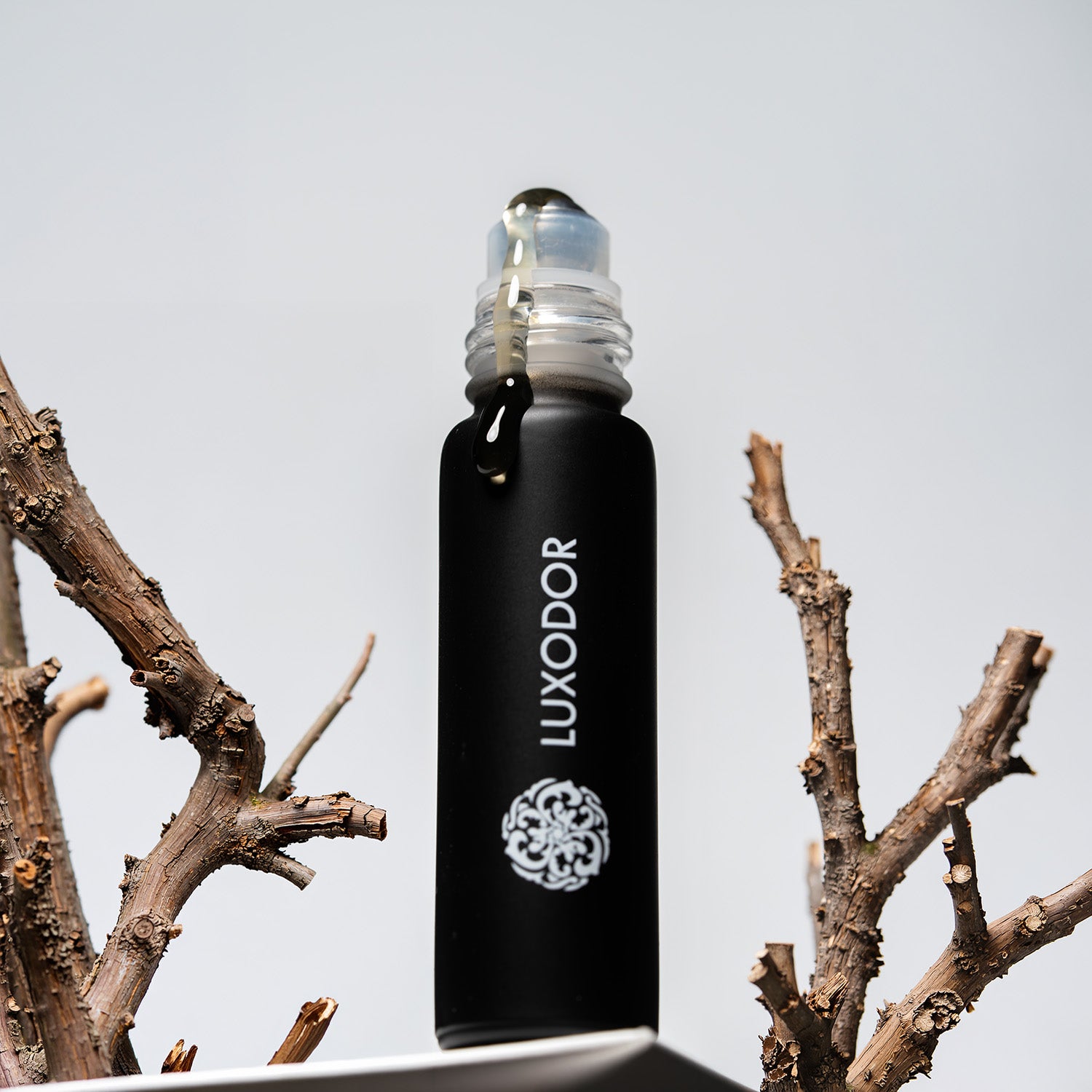 Top 10 Unisex Fragrances - Tester Box