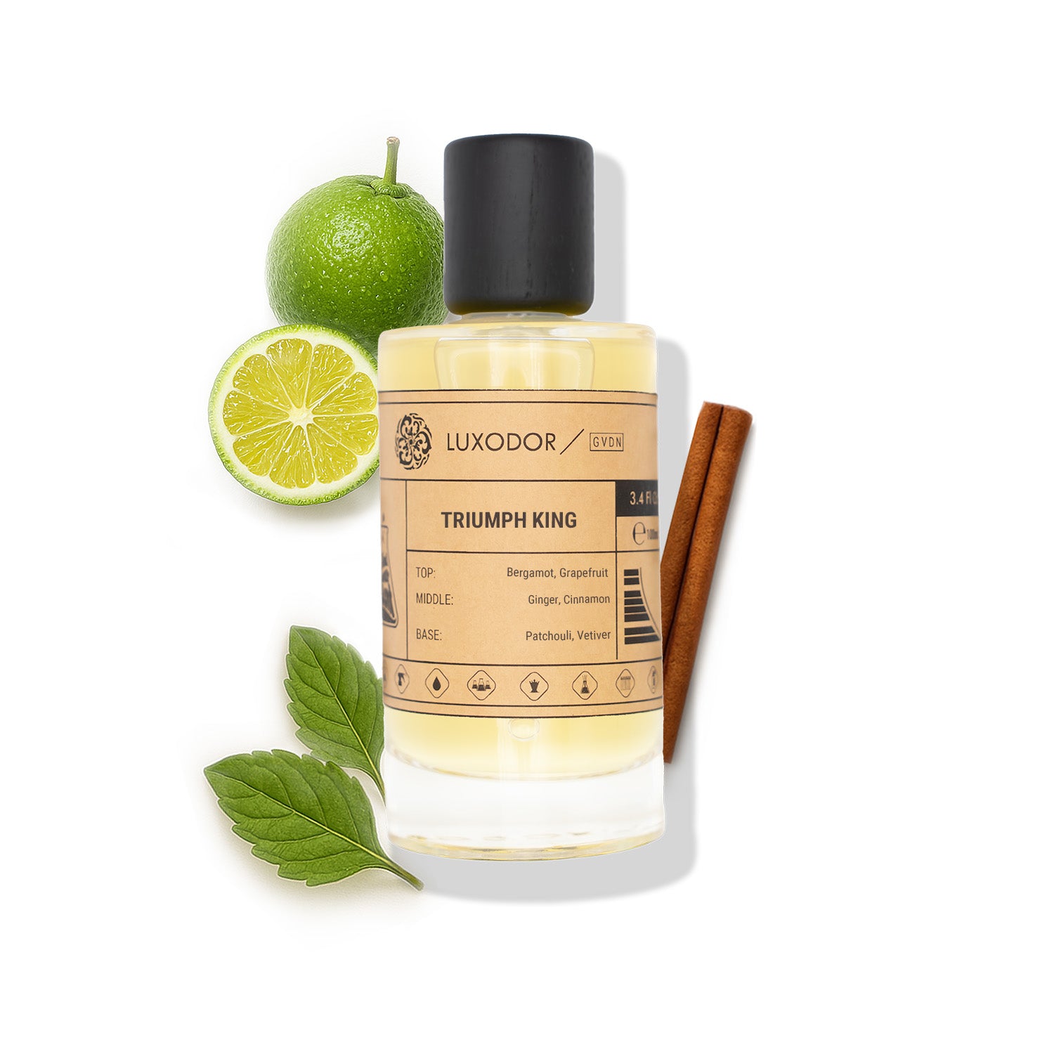 Our Creation of Creed's Absolu Aventus with Free 10ml Roll On Oil
