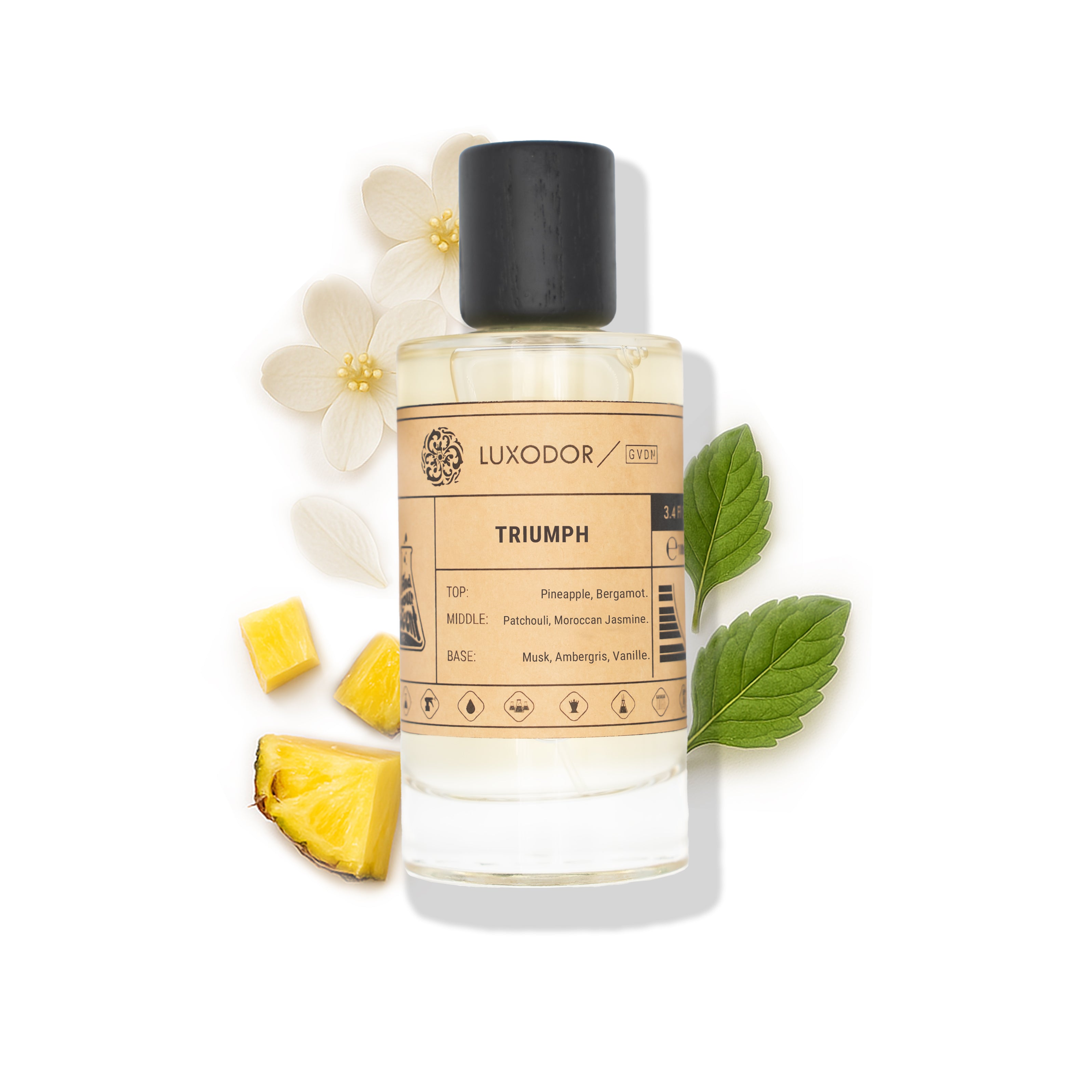 Our Creation of Creed's Aventus with Free 10ml Roll On Oil