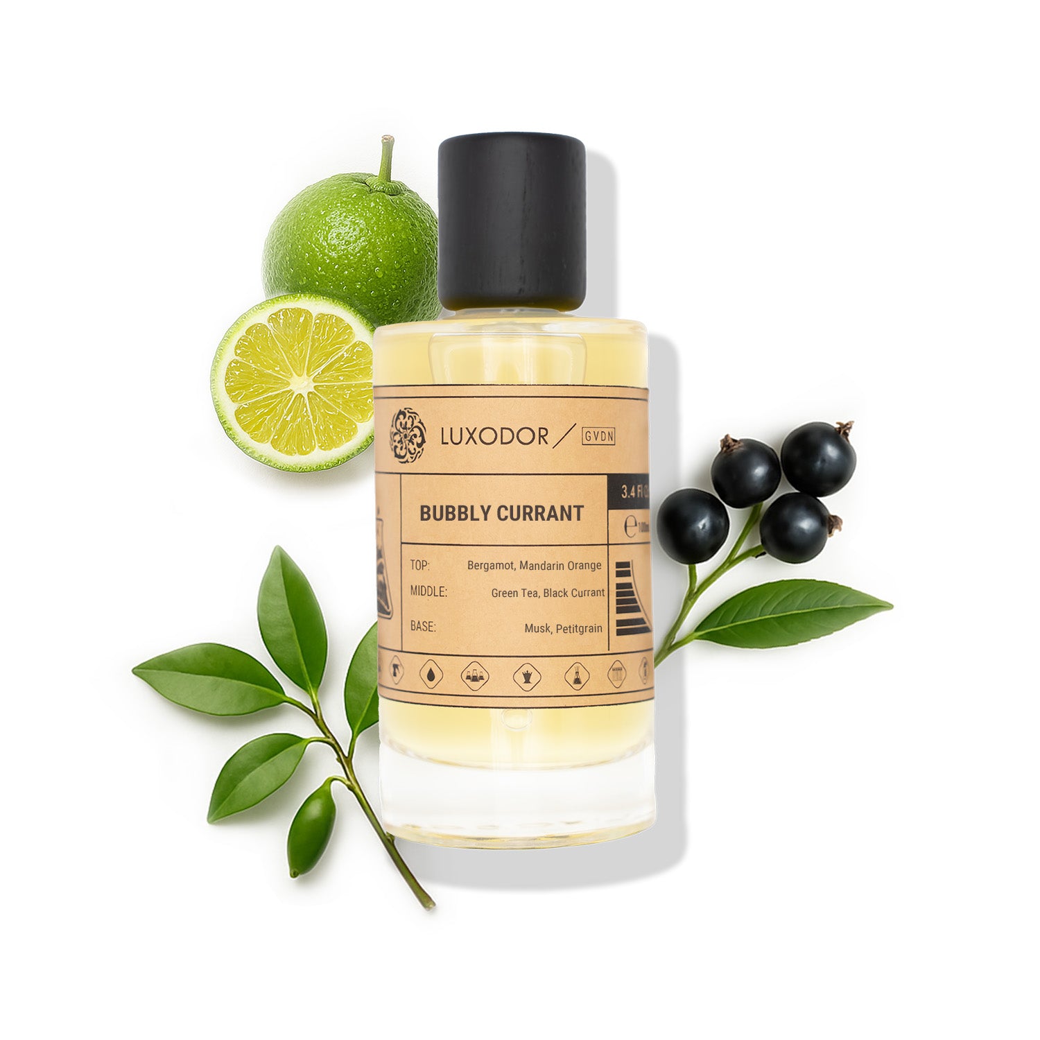 Our Creation of Creed's Silver Mountain Water with Free 10ml Roll On Oil